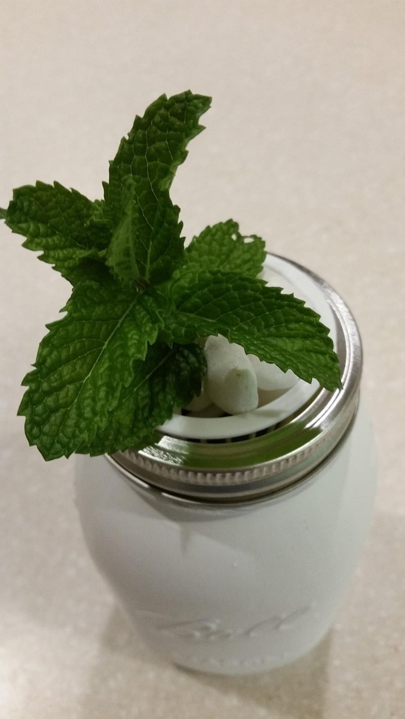 Mason Jar Wall Planters